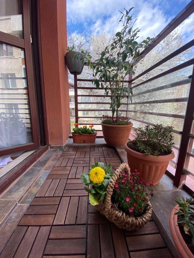 Apartment From